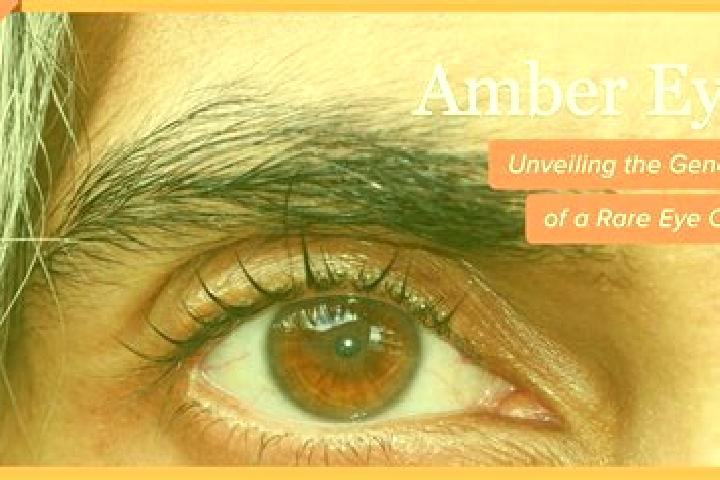 Piper, 29, a black amber-eyed mixed companion based in Altmerdingsen. Offering Dinner Date, Travel Companion, Couples, A-Level, OWO. Available for incall and...