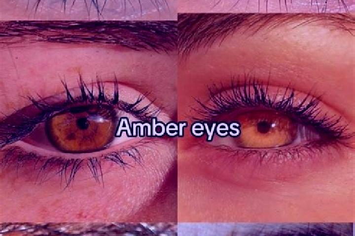 Piper, 29, a brunette amber-eyed european companion based in Obion. Offering Duos, A-Level, Tantra, Erotic Massage. Available for incall and outcall, day and...