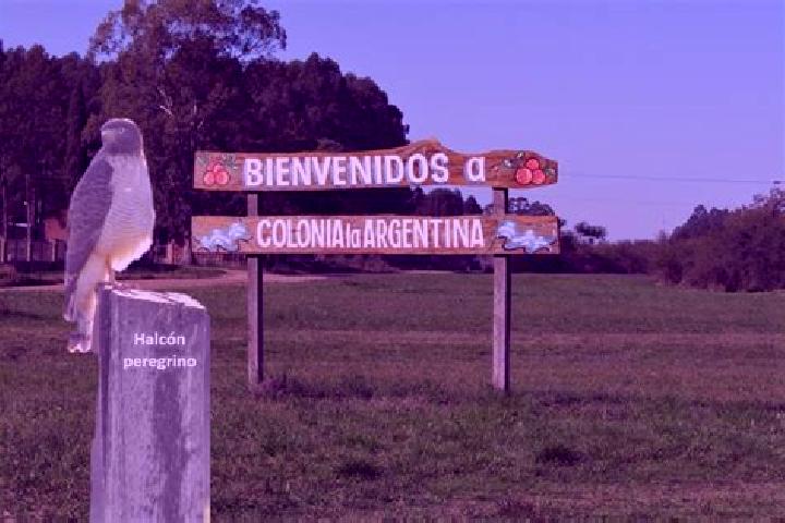 Piper, 29 — Escort in Colonia Victoria, Argentina