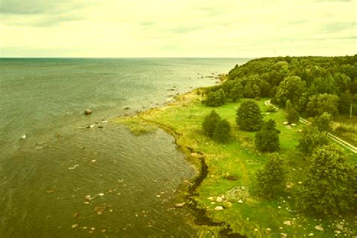 Piper, 30 — Escort in Tiskre, Estonia