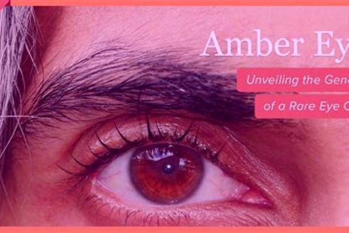 Piper, 31, a red amber-eyed mediterranean companion based in Trinidad. Offering Girlfriend Experience, CIM, Couples. Available for incall and outcall, day an...