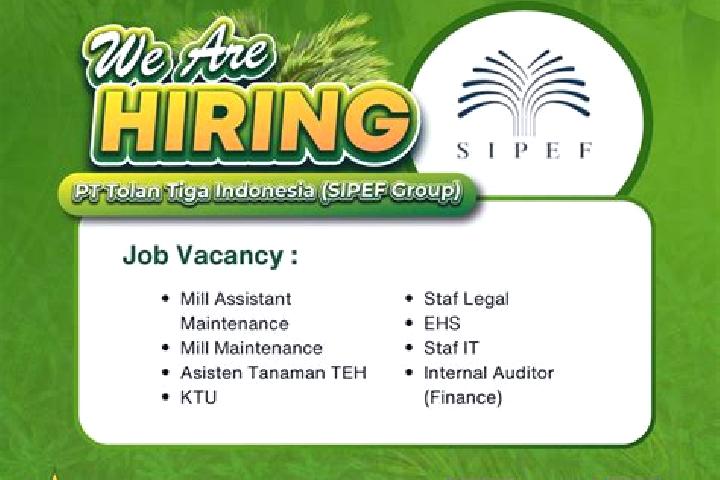 Piper, 31 — Escort in Banjar Tiga, Indonesia