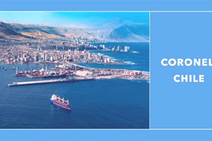 Piper, 31 — Escort in Coronel, Chile