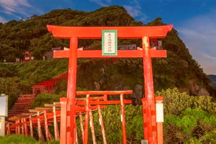 Piper, 31 — Escort in Fukaya, Japan