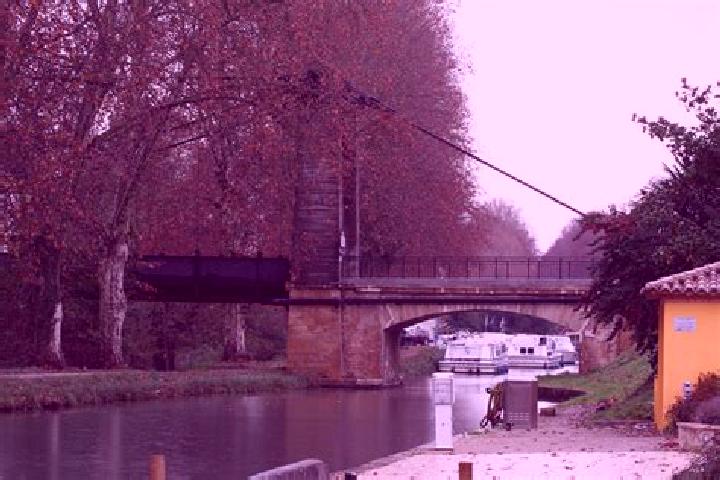Piper, 31 — Escort in Meilhan-sur-Garonne, France