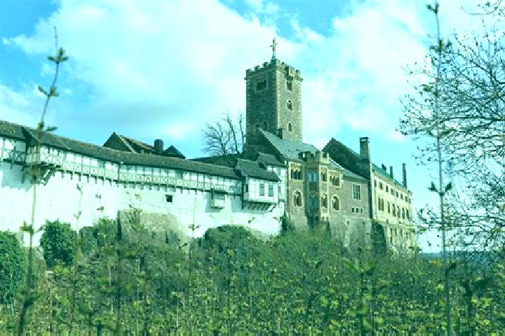Piper, 32 — Escort in Eisenach, Germany