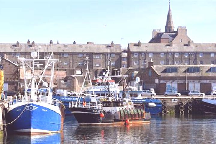 Piper, 32 — Escort in Peterhead, United Kingdom
