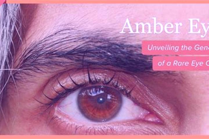 Piper, 33, a red amber-eyed mixed companion based in Coelbren. Offering Couples, Overnight, Fetish, Massage, A-Level. Available for incall and outcall, overn...