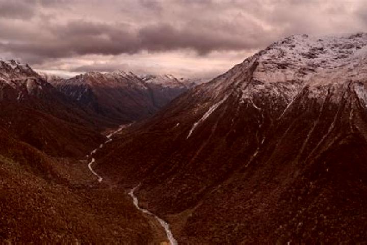 Piper, 33 — Escort in Raureka, New Zealand