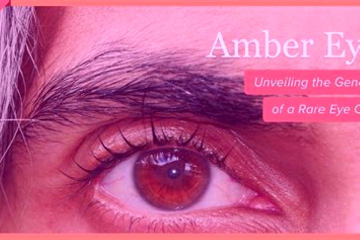 Piper, 34, a black amber-eyed indian companion based in Campelos. Offering Domination, Overnight, Travel Companion, Deep French Kissing. Available for incall...