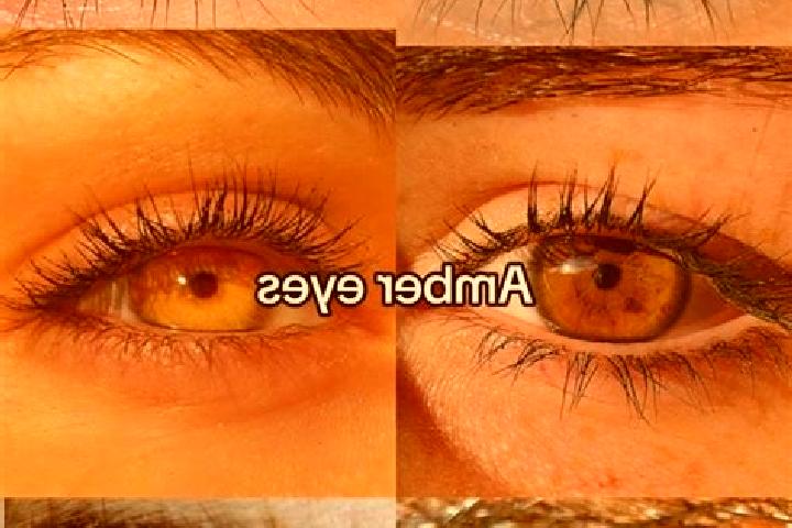 Piper, 34, a chestnut amber-eyed caucasian companion based in Mangattidam. Offering Overnight, Travel Companion, Girlfriend Experience. Available for incall ...