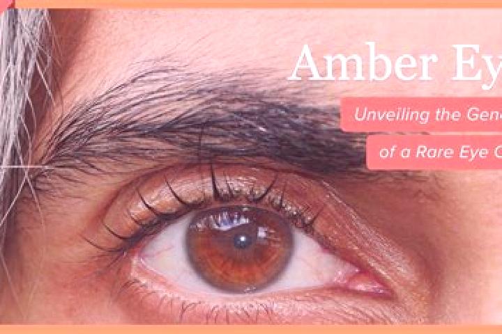 Piper, 34, a red amber-eyed middle eastern companion based in Simaluguri. Offering OWO, Roleplay, A-Level, Fetish, Duos. Available for incall and outcall, ov...