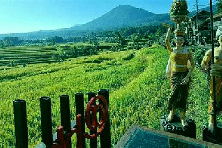 Piper, 35 — Escort in Banjar Sambangan, Indonesia