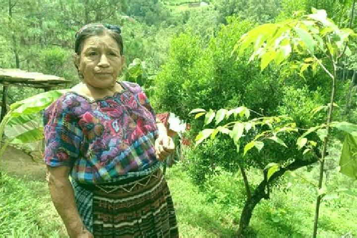 Piper, 36 — Escort in Santa Maria Chiquimula, Guatemala