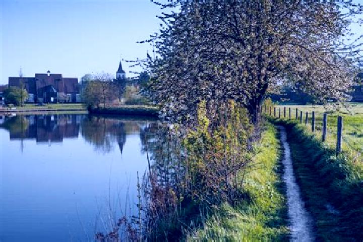 Piper, 36 — Escort in Sint-Maria-Latem, Belgium