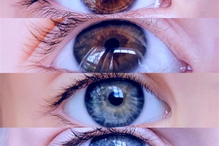 Piper, 38, a chestnut dark-eyed mixed companion based in Hokowhitu. Offering 69, Domination, Deep French Kissing, Couples. Available for incall and outcall, ...
