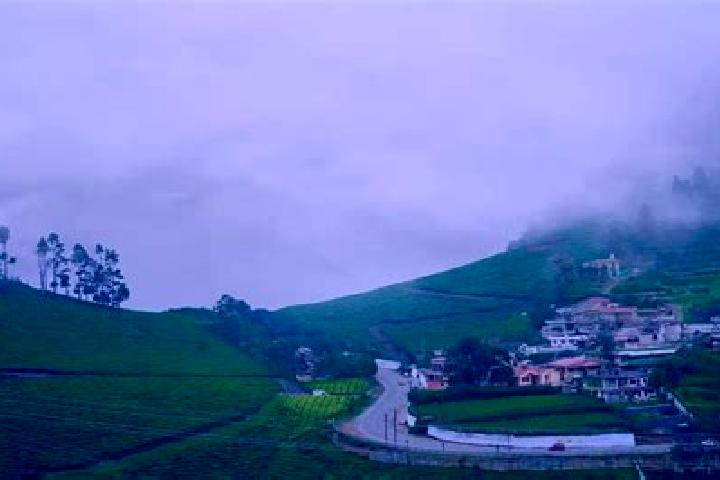 Piper, 38 — Escort in Nilagiri, India