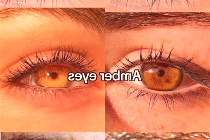 Piper, 39, a chestnut amber-eyed indian companion based in Colledimacine. Offering Party Girl, Overnight, CIM. Available for incall and outcall, overnight bo...