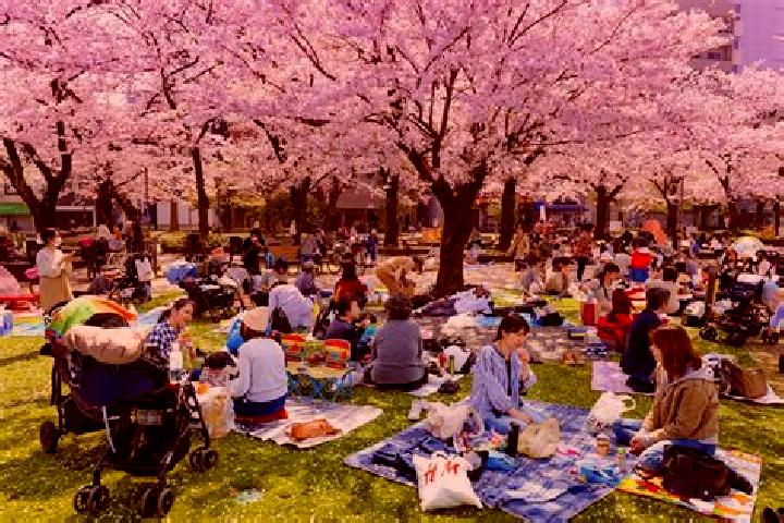 Piper, 39 — Escort in Kinshi, Japan
