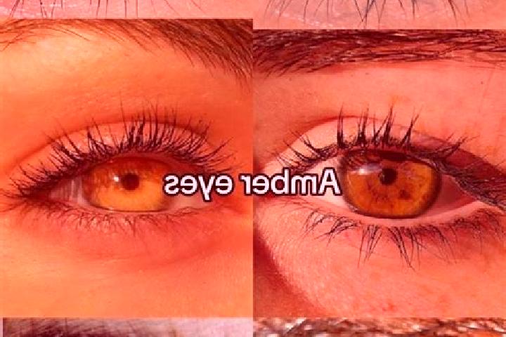 Quinn, 20, a chestnut amber-eyed caucasian companion based in Gangxia. Offering OWO, GFE, 69, Deep French Kissing. Available for incall and outcall, overnigh...