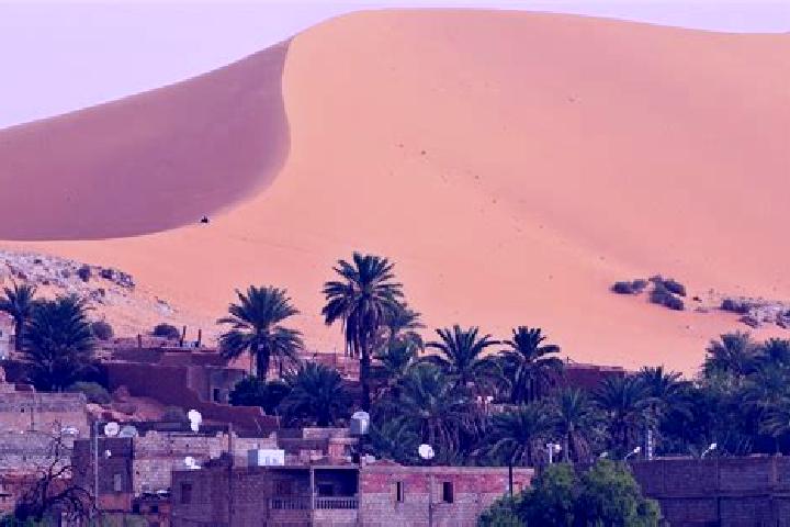 Quinn, 20 — Escort in Beni Abbes, Algeria
