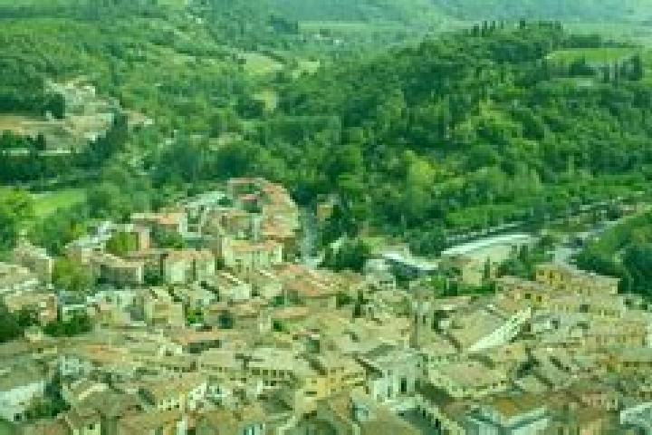 Quinn, 20 — Escort in Poggibonsi, Italy