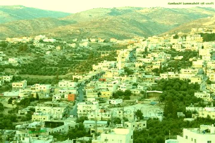 Quinn, 21 — Escort in Bayt Awwa, Palestine
