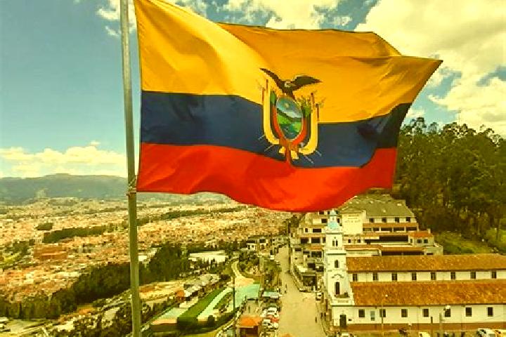 Quinn, 21 — Escort in Chile, Ecuador