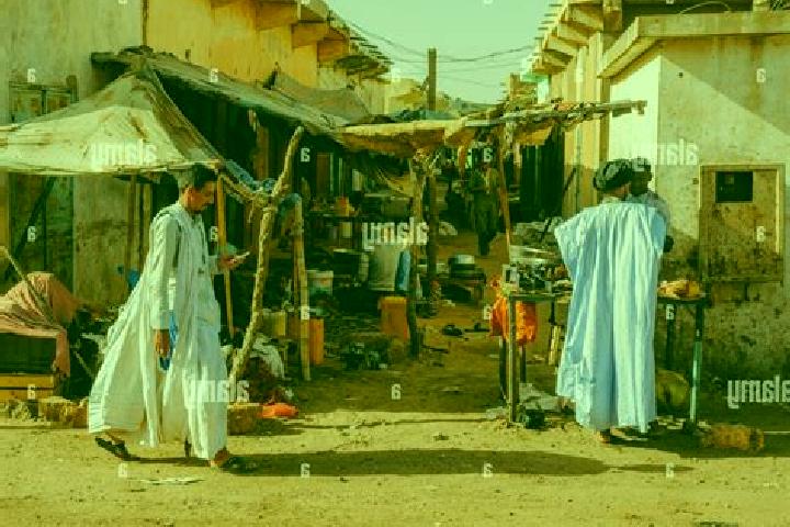 Quinn, 21 — Escort in Kiffa, Mauritania