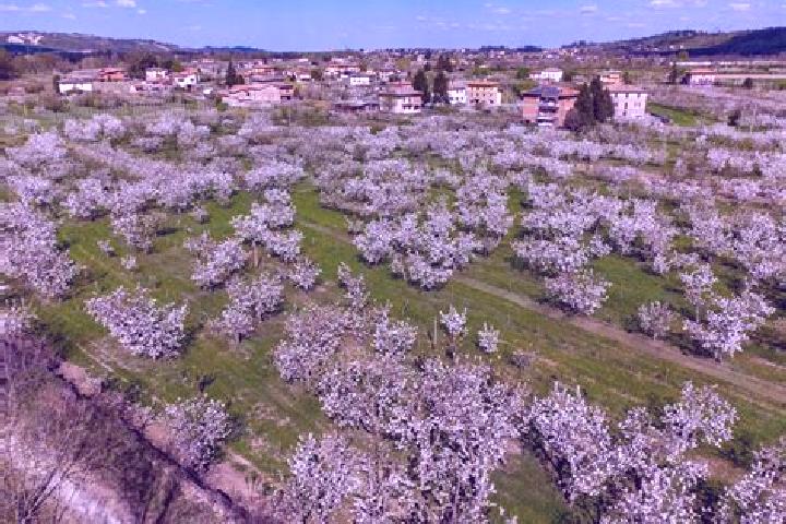 Quinn, 21 — Escort in Marano sul Panaro, Italy
