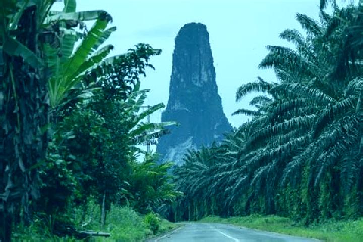 Quinn, 22 — Escort in Rosema, Sao Tome and Principe