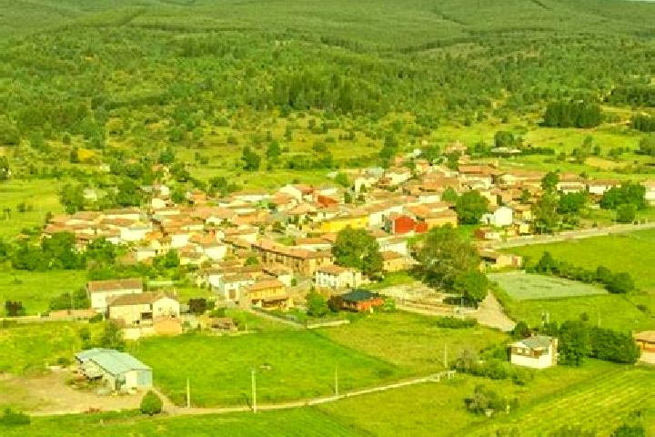 Quinn, 22 — Escort in Santa Colomba de Curueno, Spain