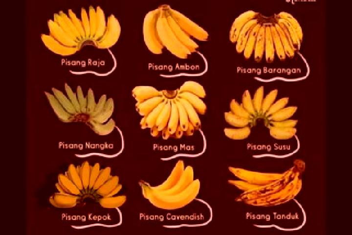 Quinn, 23 — Escort in Pisang, Indonesia
