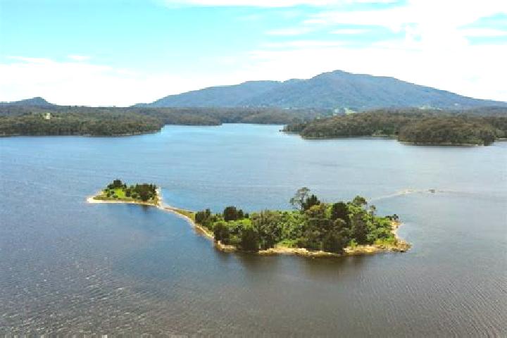 Quinn, 23 — Escort in Wallaga Lake, Australia