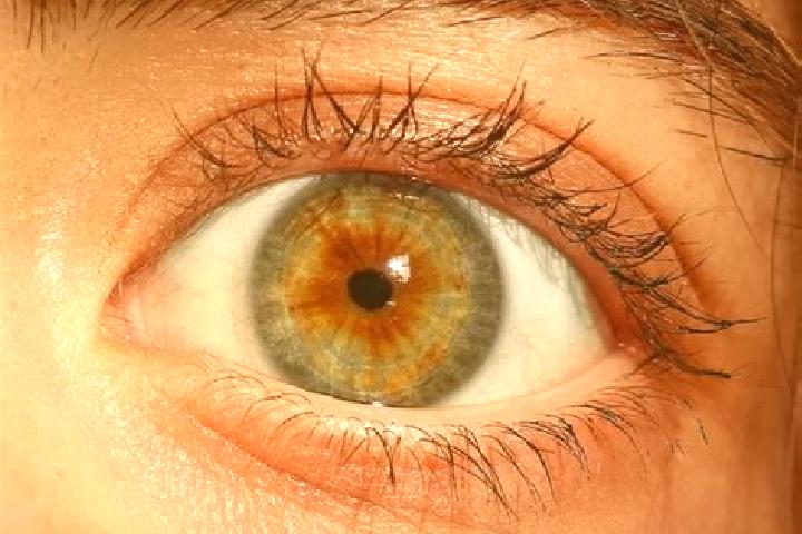 Quinn, 24, a red hazel-eyed mediterranean companion based in Seebach. Offering Deep French Kissing, Overnight, GFE. Available for incall and outcall, day and...