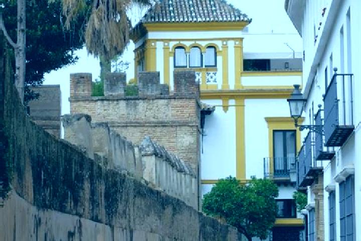Quinn, 24 — Escort in Barrio Santa Cruz, Mexico
