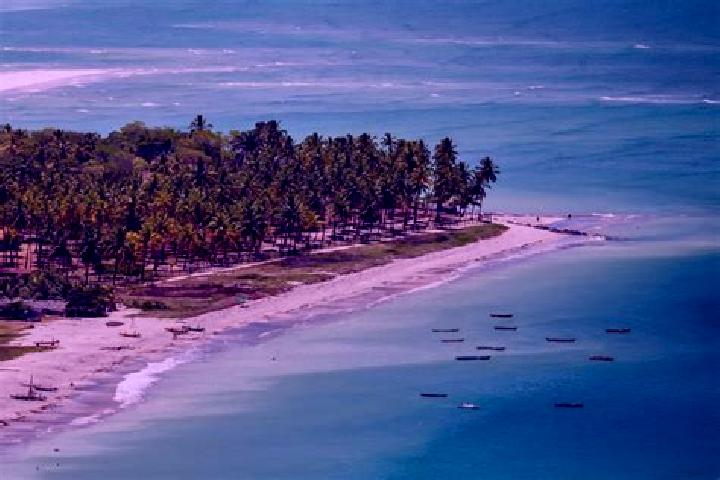 Quinn, 24 — Escort in Ilha de Itamaraca, Brazil