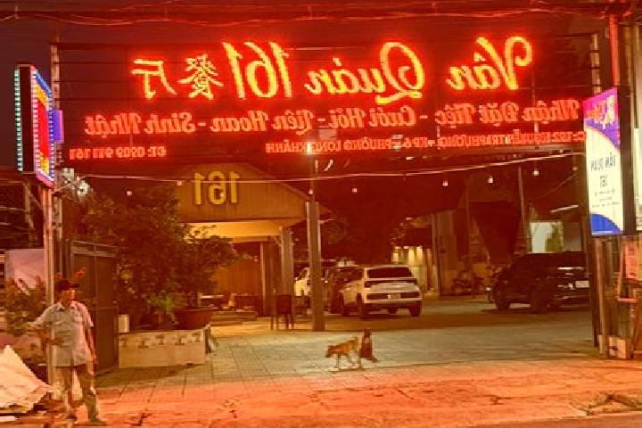 Quinn, 24 — Escort in Van Quan, Vietnam