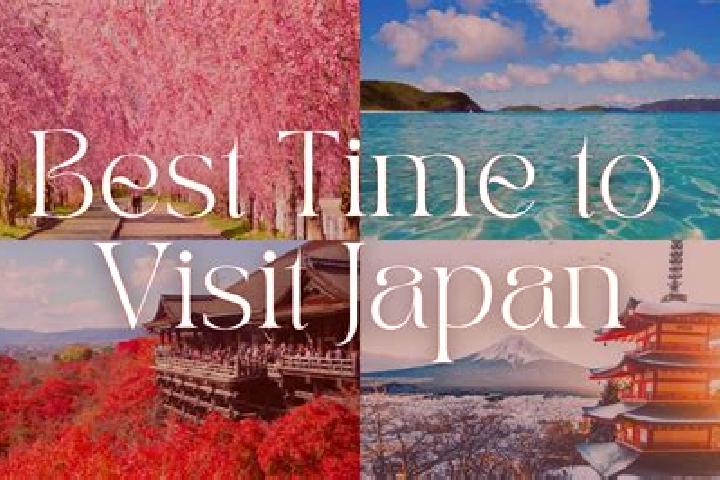 Quinn, 25 — Escort in Higashiemi, Japan
