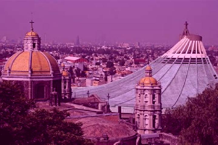 Quinn, 25 — Escort in Loma de Guadalupe, Mexico