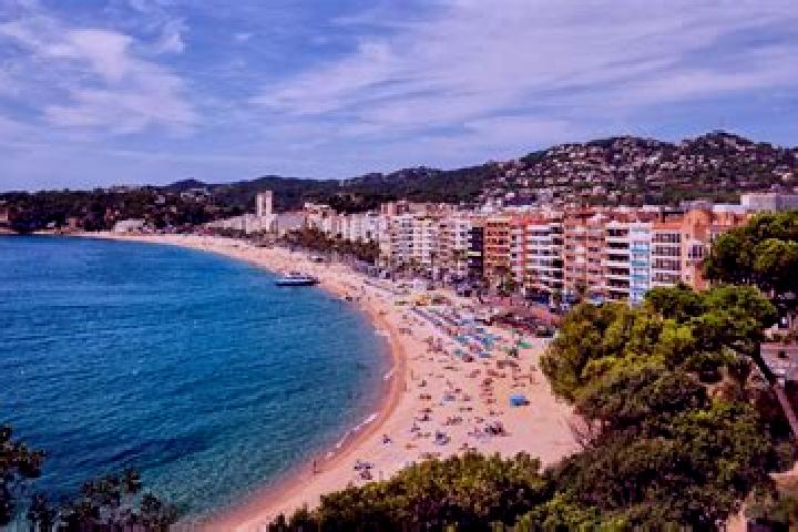Quinn, 26, a brunette blue-eyed mixed companion based in Lloret de Mar. Offering Erotic Massage, BDSM, Deep French Kissing, 69. Available for incall and outc...
