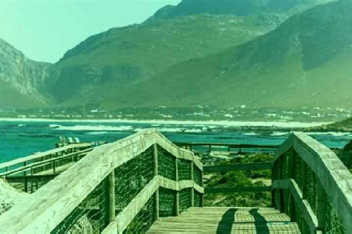 Quinn, 26 — Escort in Betty s Bay, South Africa