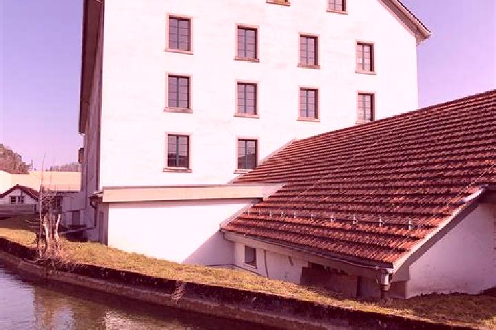 Quinn, 27 — Escort in Kollbrunn, Switzerland