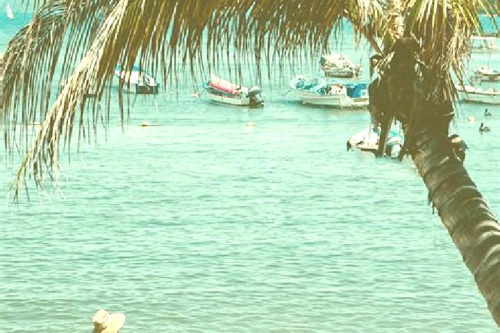 Quinn, 28, a chestnut green-eyed asian companion based in Rincon de Guayabitos. Offering Travel Companion, GFE, A-Level, OWO, Deep French Kissing. Available ...