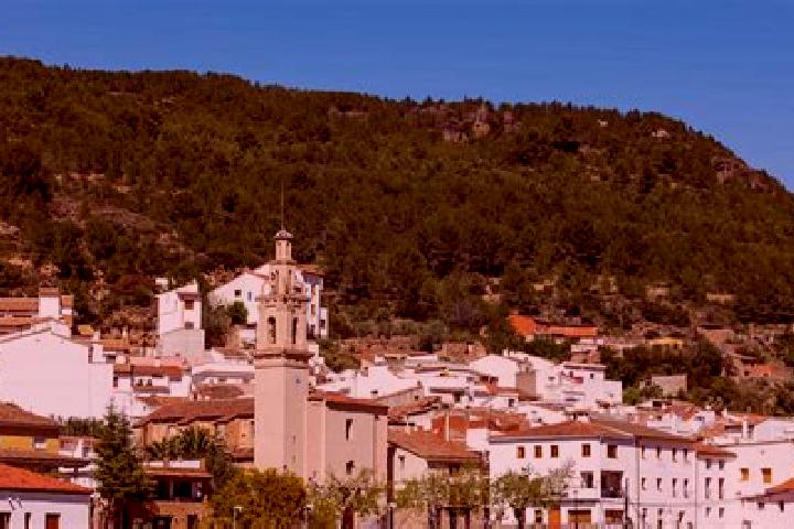 Quinn, 28 — Escort in Fuentes de Ayodar, Spain