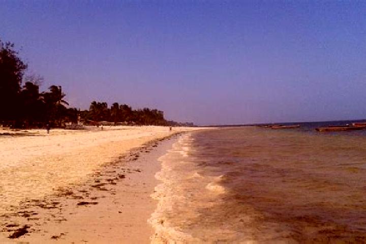 Quinn, 30 — Escort in Malindi, Kenya
