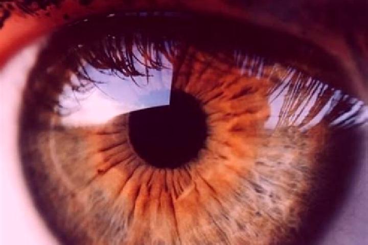 Quinn, 31, a red hazel-eyed middle eastern companion based in Sinincay. Offering Prostate Massage, Deep French Kissing, Striptease, OWO. Available for incall...