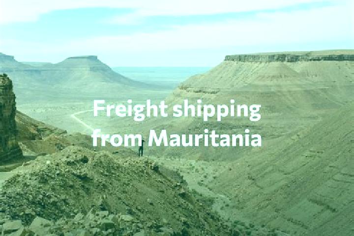 Quinn, 31 — Escort in El Medda, Mauritania