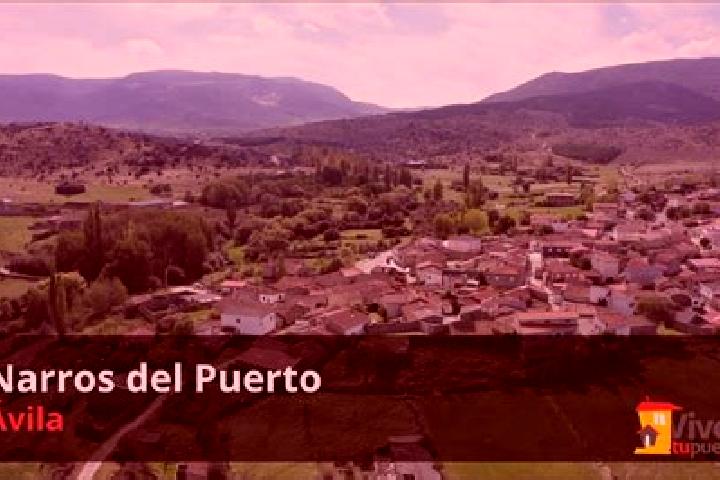 Quinn, 31 — Escort in Narros del Puerto, Spain