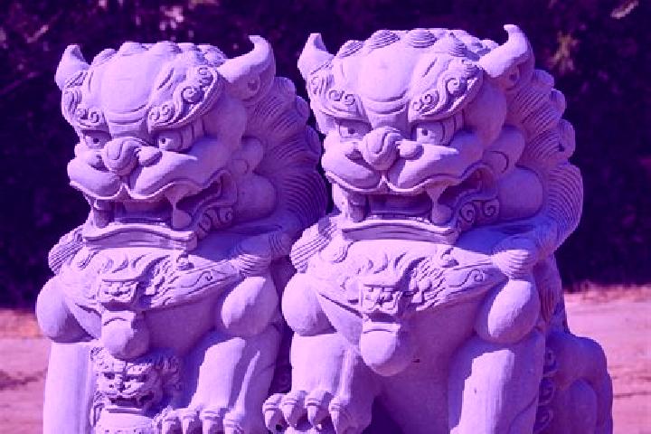 Quinn, 31 — Escort in Shizi, China